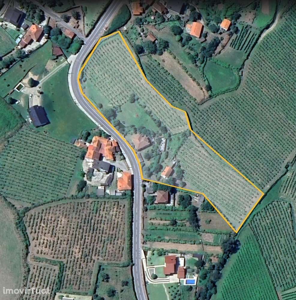 Quinta do Paço | Monção - Grande imagem: 2/17