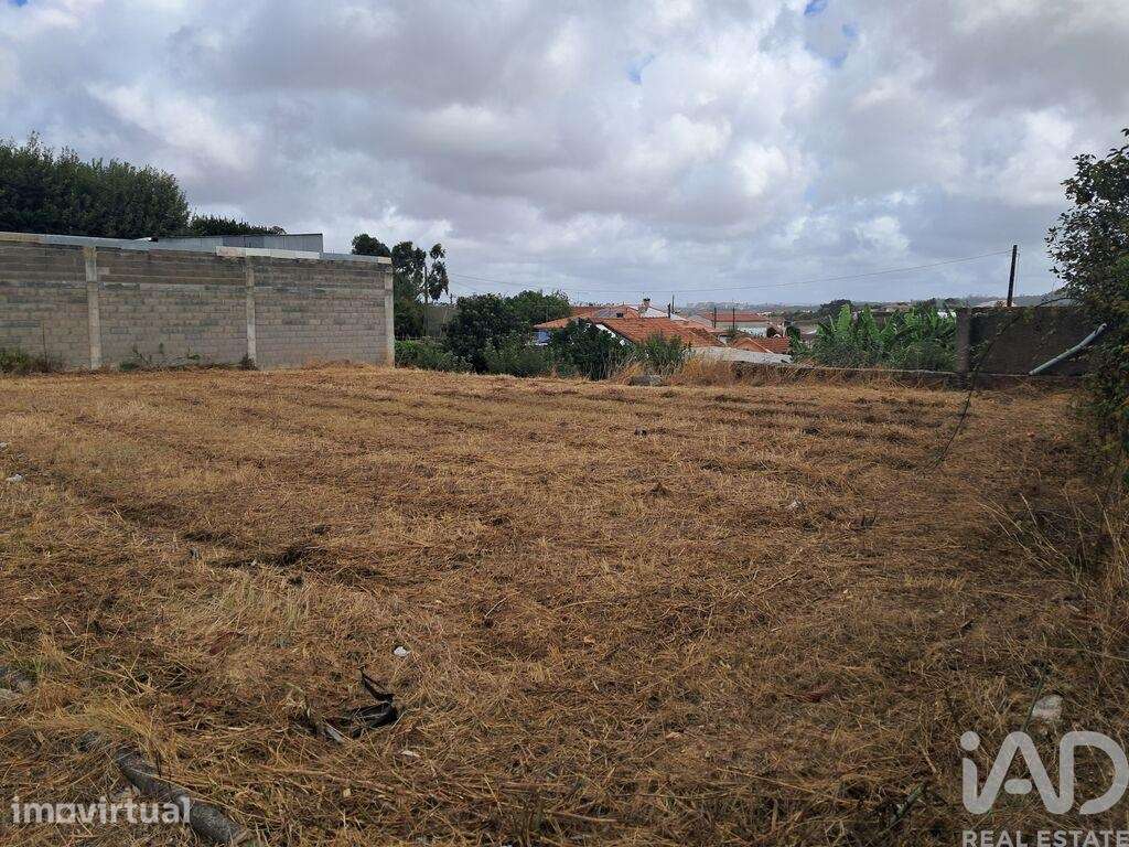 Terreno em Parceiros e Azoia - Grande imagem: 5/13