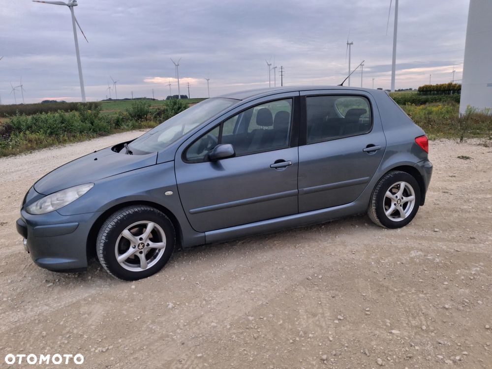 Peugeot 307 1.6 XS - 1