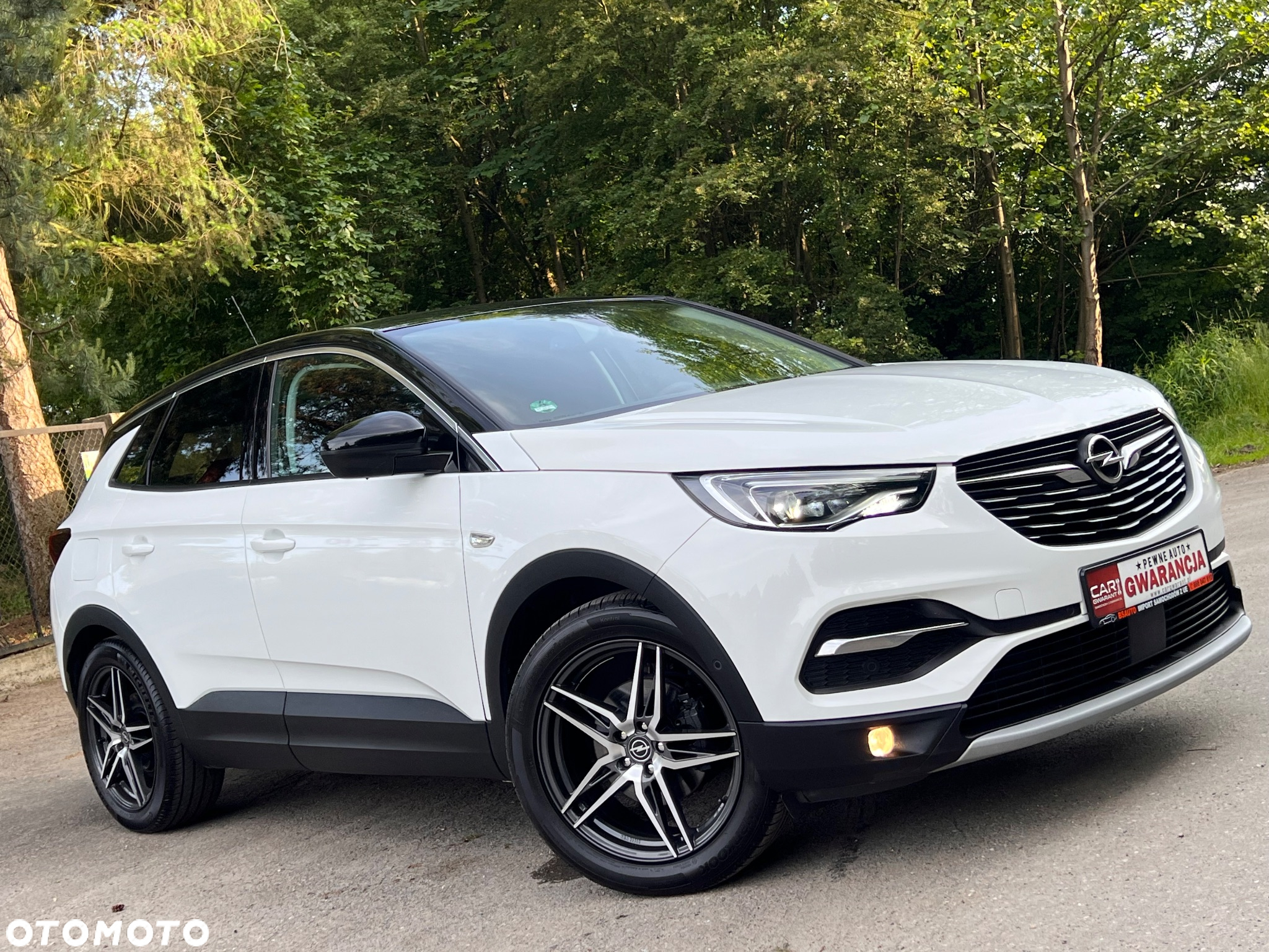 Opel Grandland X 2.0 CDTI Innovation S&S - 10