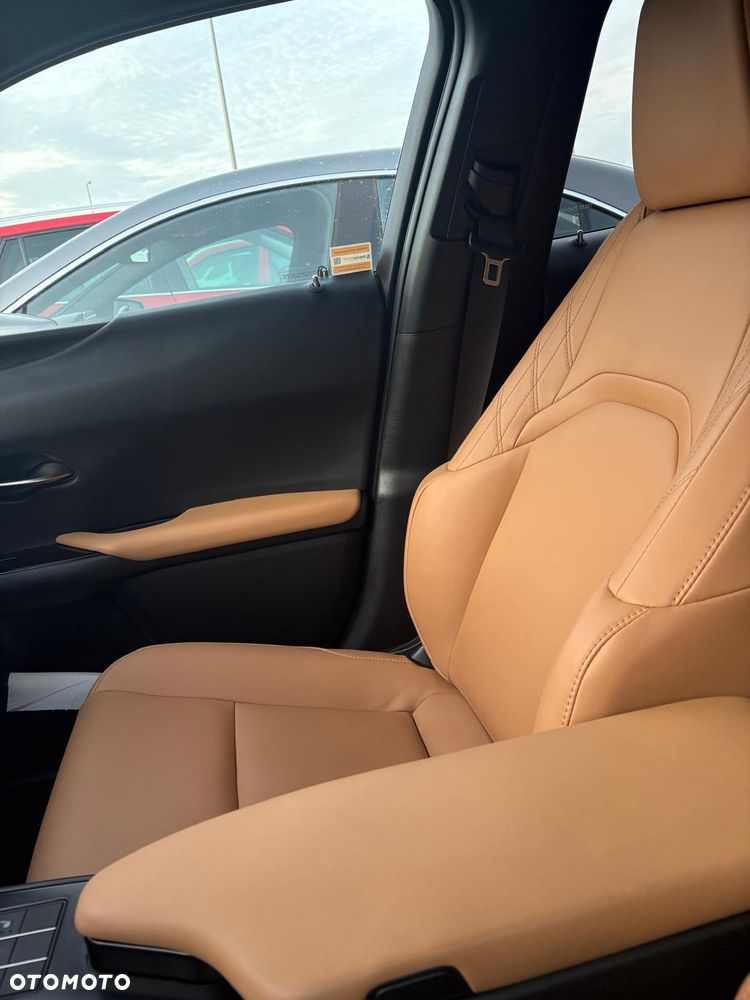 Lexus UX 200 GPF F Sport Design 2WD - 11