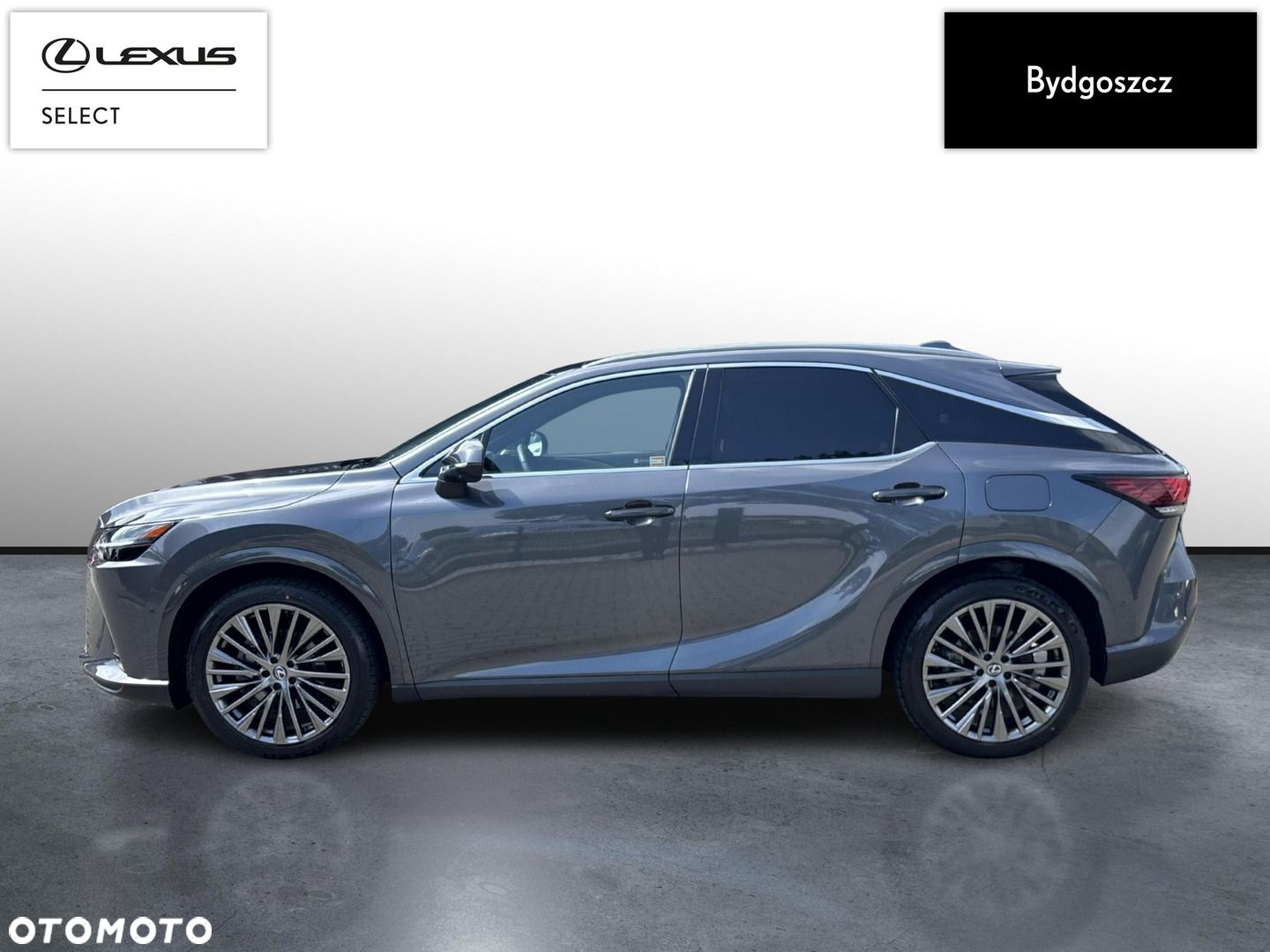 Lexus RX - 7
