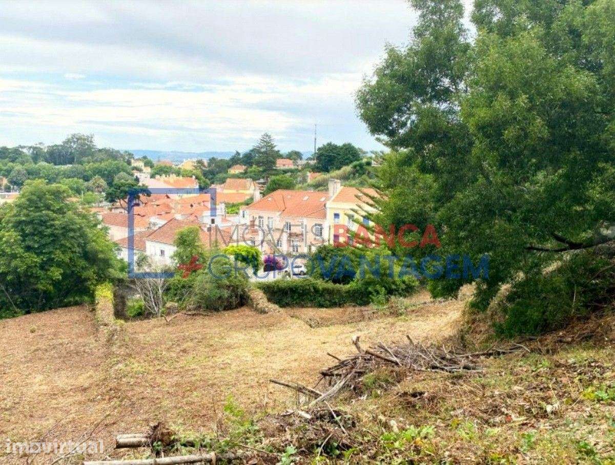 Terreno para construção - SINTRA - Grande imagem: 4/14