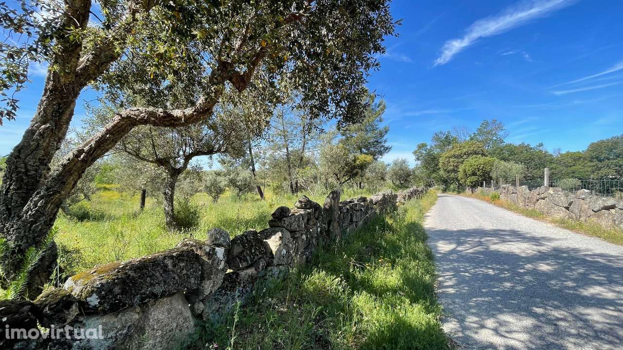 Terreno Rústico | Lousa CTB, Castelo Branco - Grande imagem: 3/8