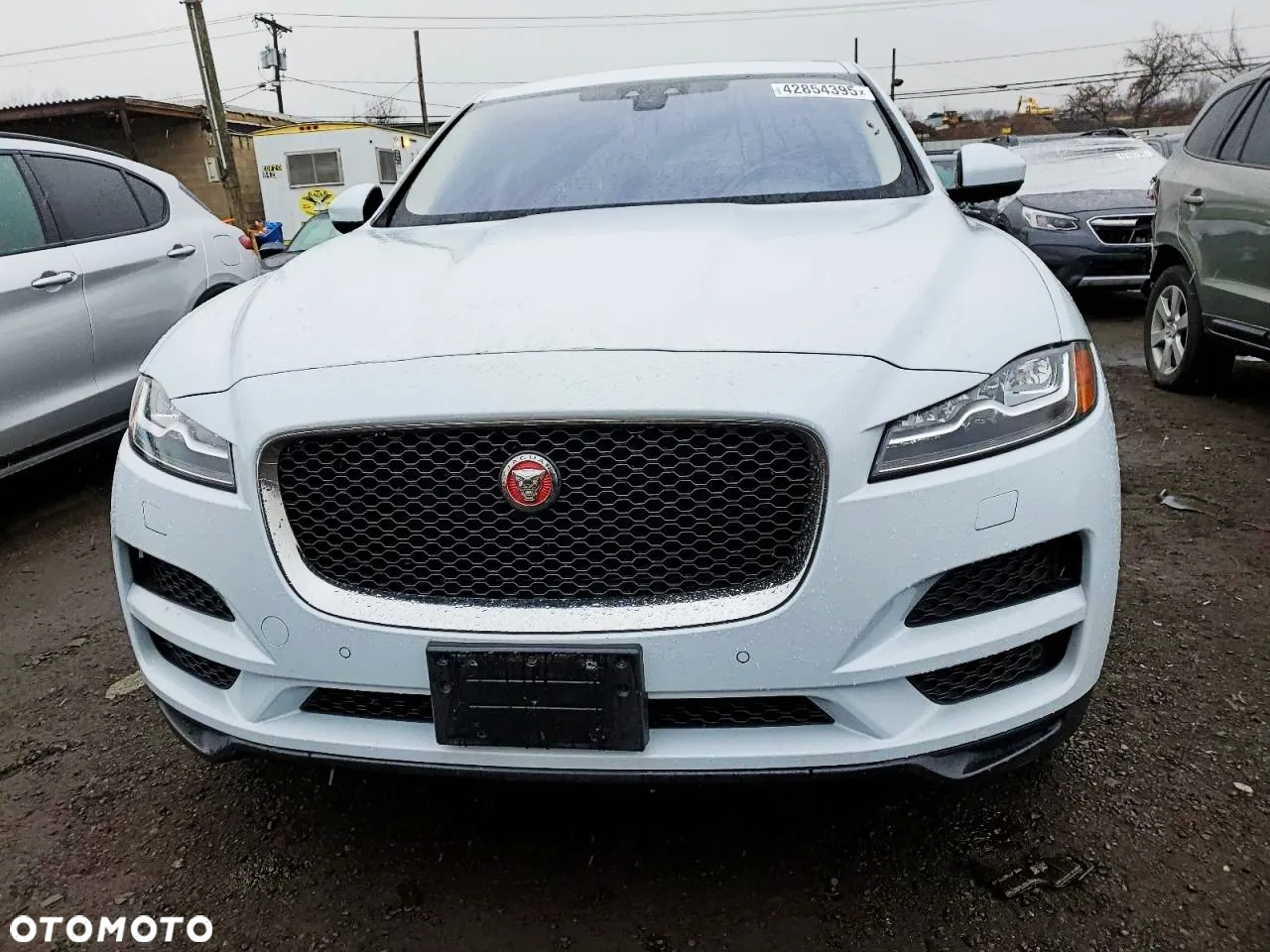 Jaguar F-Pace 3.0 V6 AWD Prestige - 5
