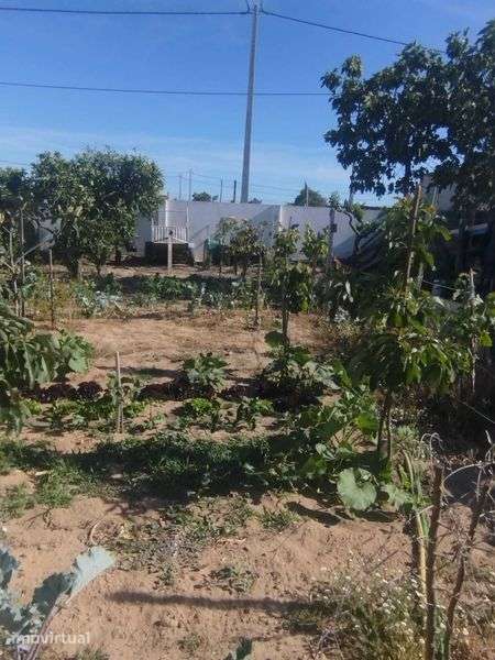 Terreno com benfeiturias - Grande imagem: 4/6