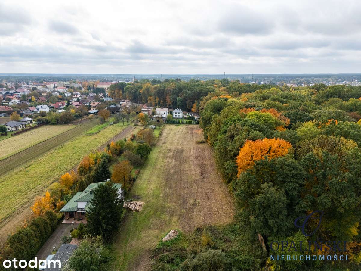 Zamieszkaj przy parku | WZ | Cisza i Zieleń | 12ar - Pełny obrazek: 3/17