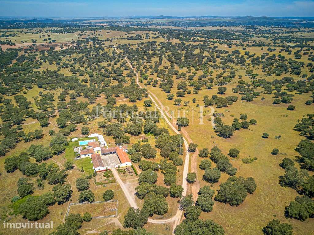 Quinta de Elevado Charme e Potencial Turístico no Alto Alentejo - Grande imagem: 2/60