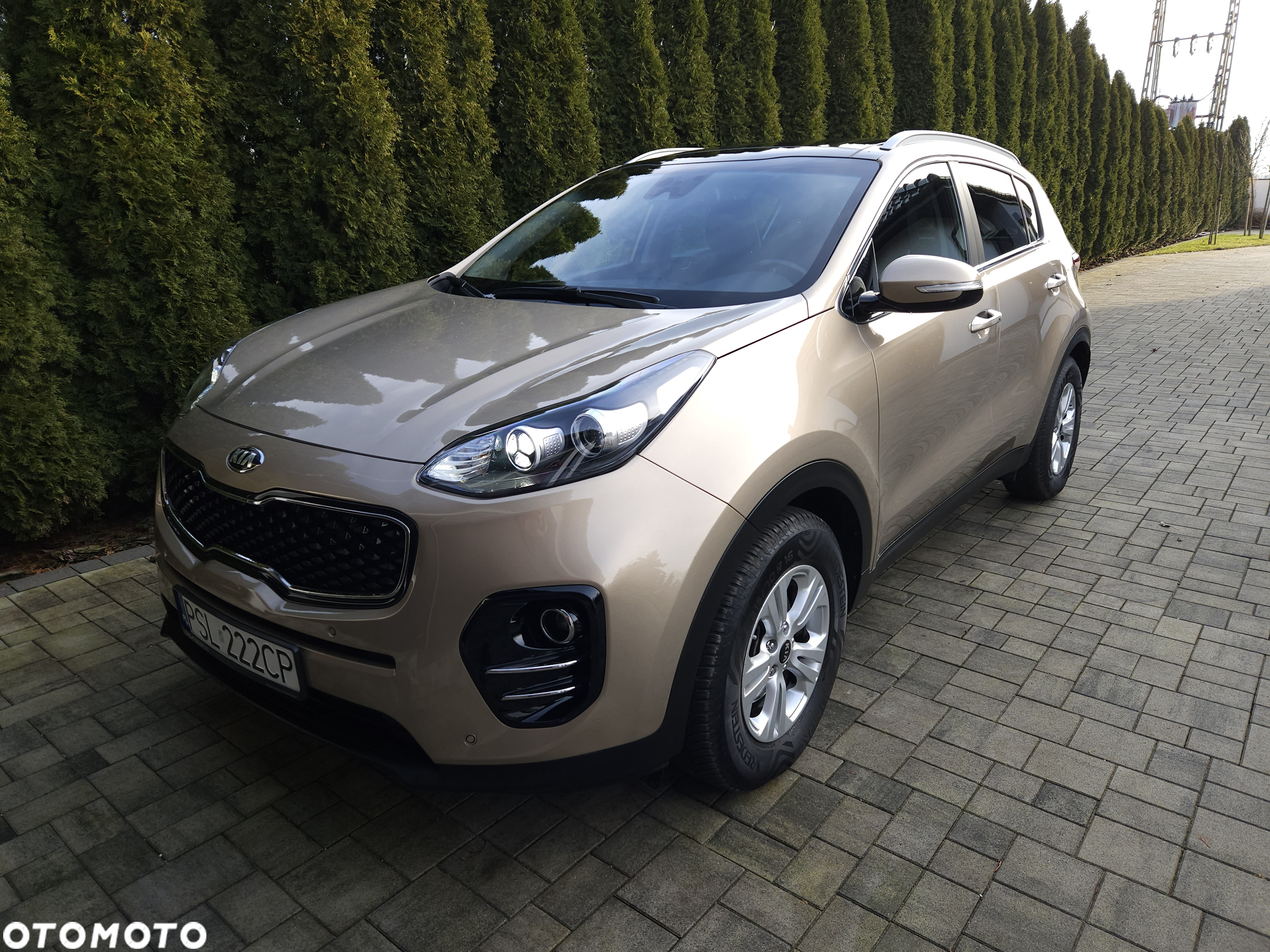 Kia Sportage 1.7 CRDI XL 2WD - 17