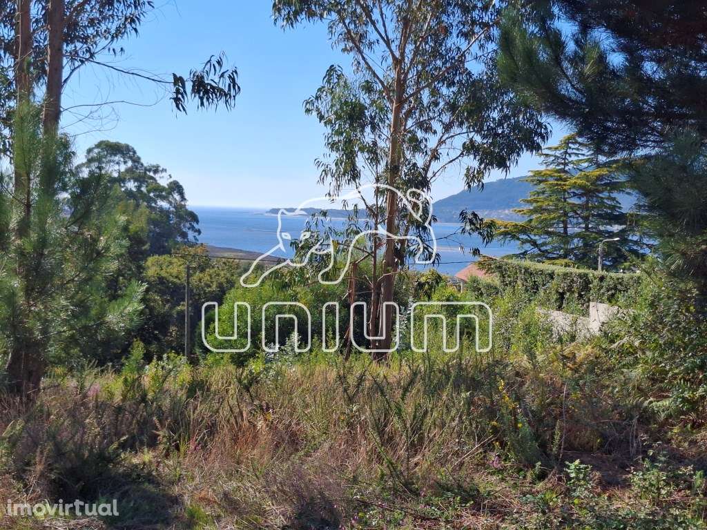 Terreno com vista para o Rio Minho - Grande imagem: 3/4