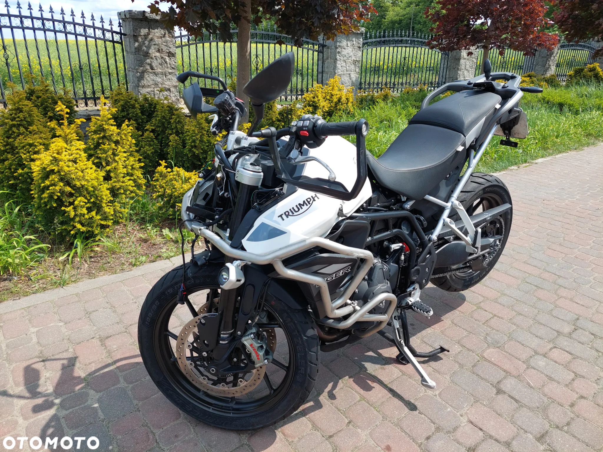 Triumph Tiger - 2