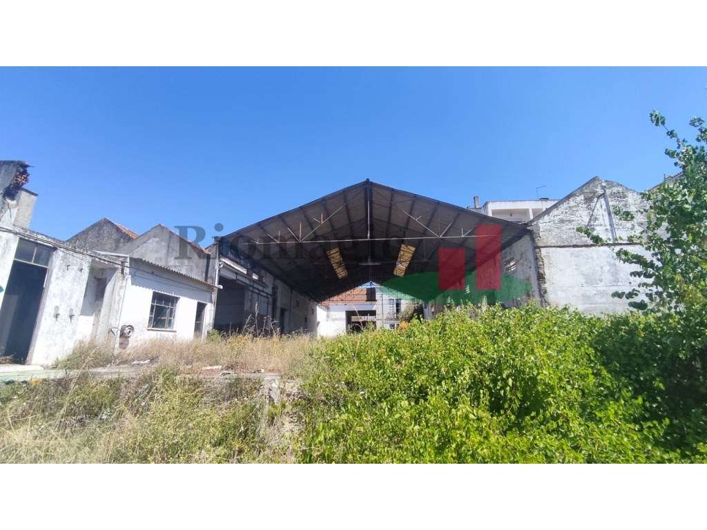 Lote de Terreno em Alpiarça***RIOMAGIC*** - Grande imagem: 4/15