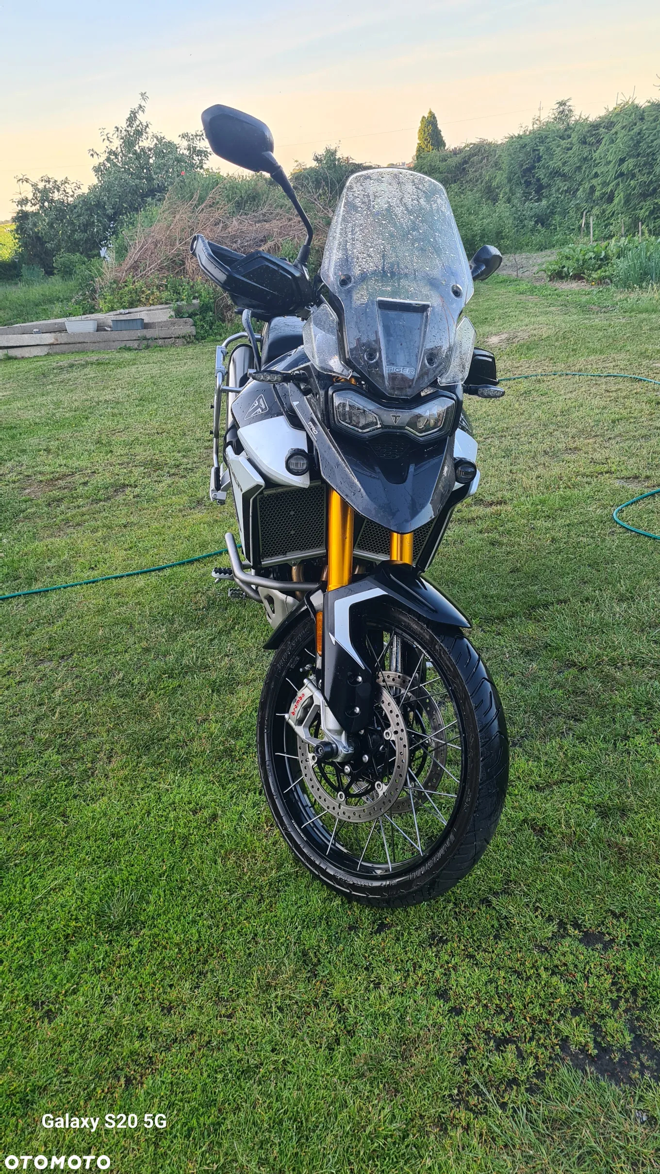 Triumph Tiger - 3