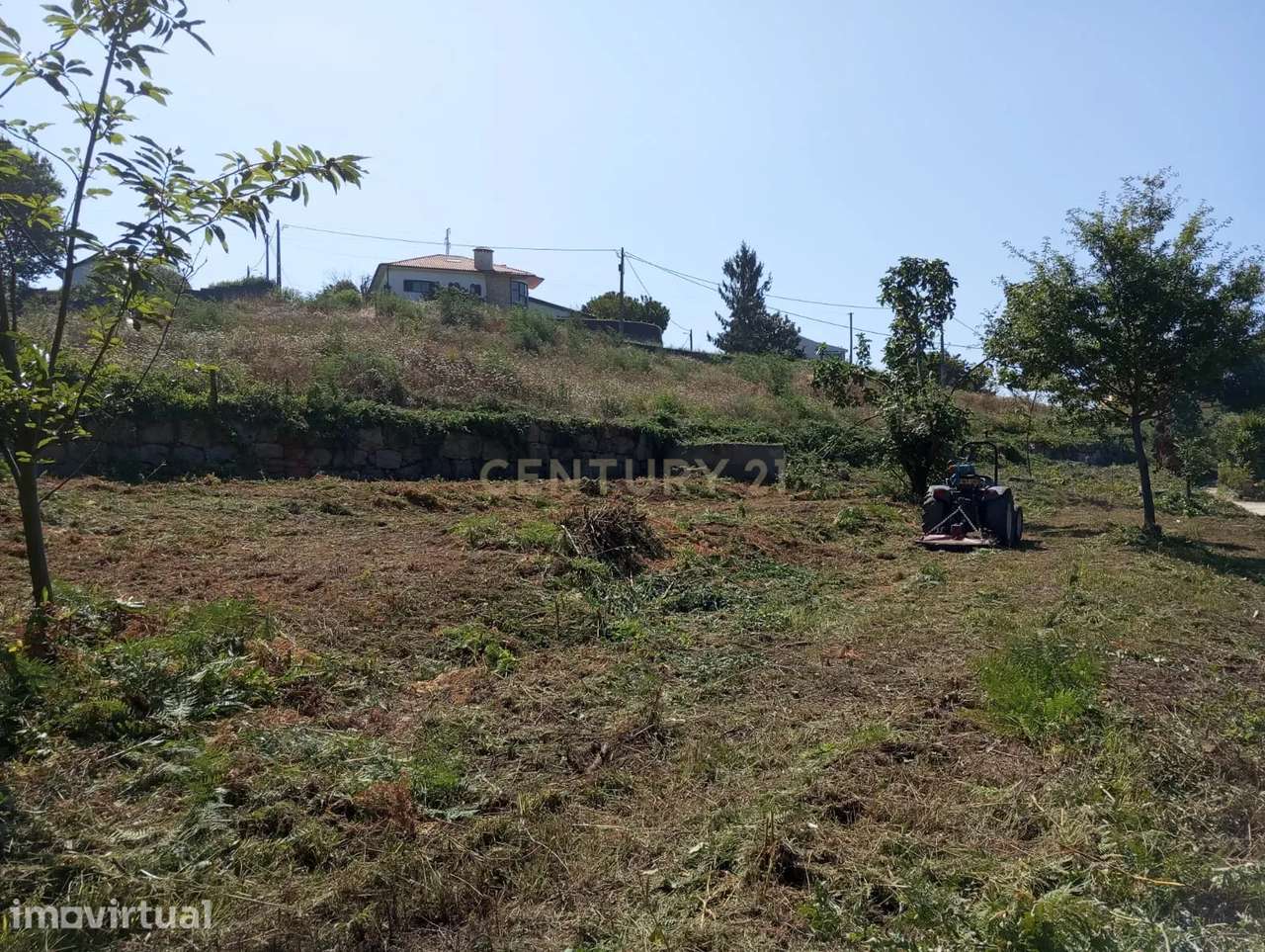 Terreno à venda em Santa Comba Dão, Viseu - 600m² - Grande imagem: 4/9
