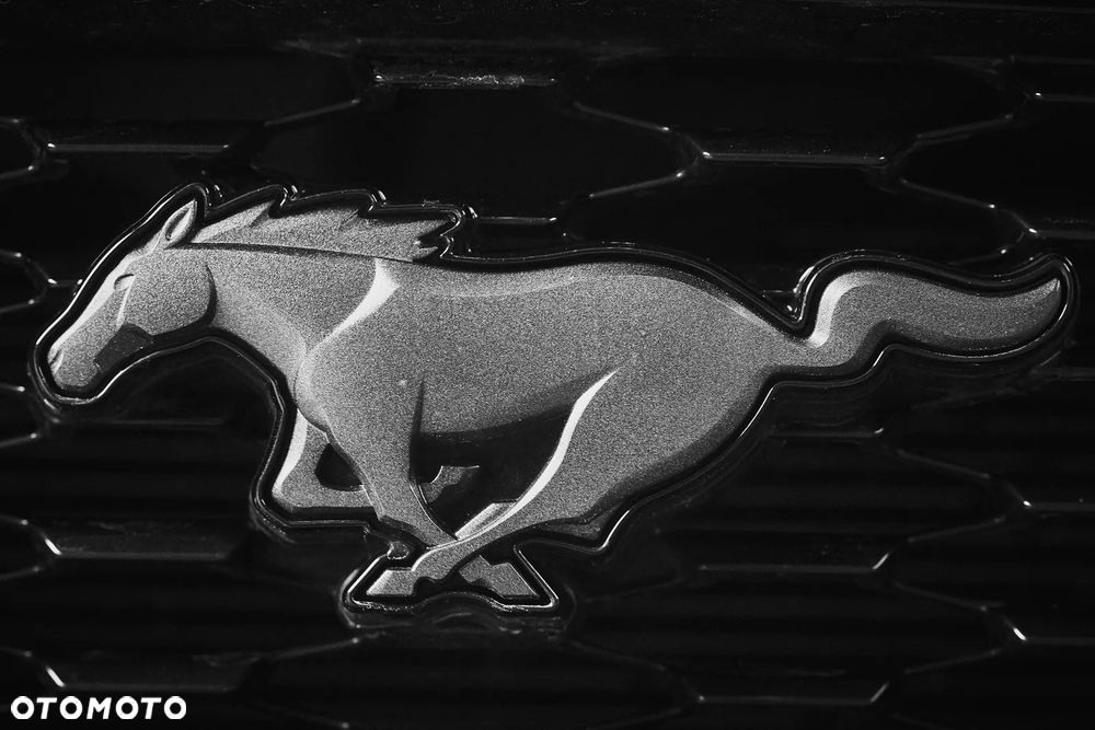 Ford Mustang 5.0 V8 Mach 1 - 6