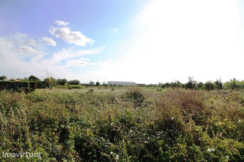 Terreno, Montemor-o-Velho, Montemor-o-Velho - Grande imagem: 3/6