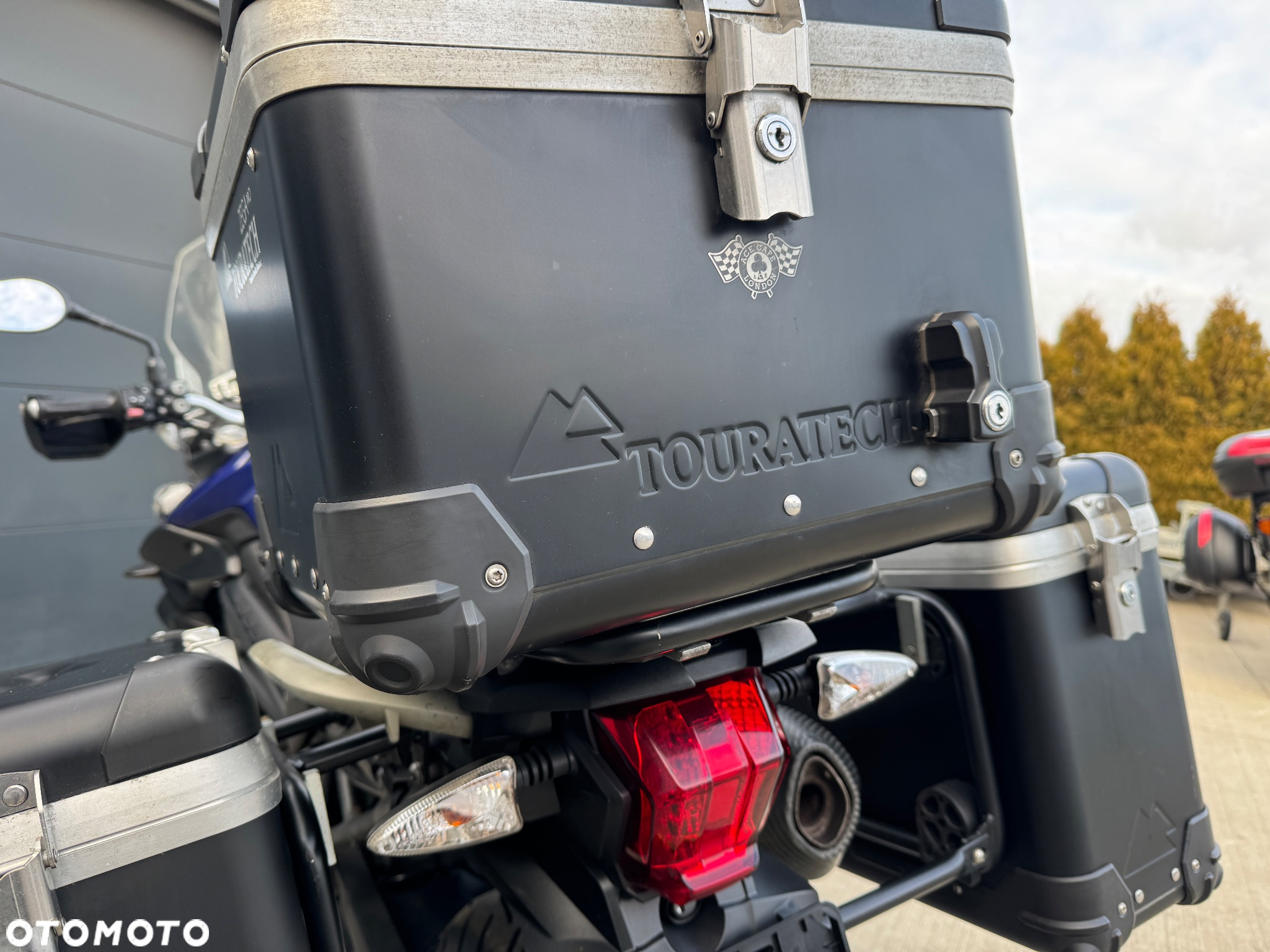 Triumph Tiger - 25