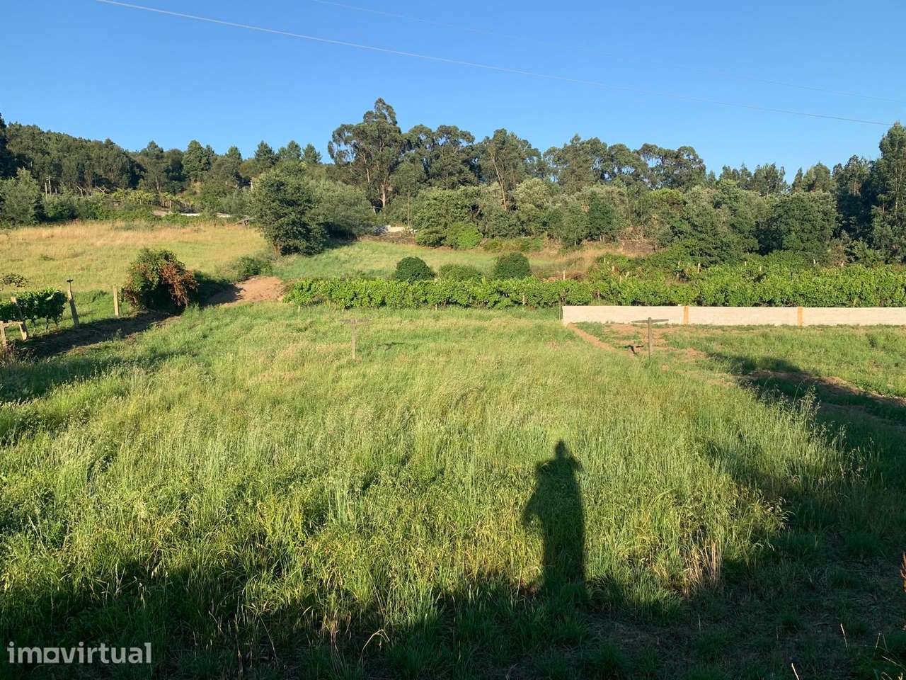 Terreno urbano de 1300m² em Valongo - Grande imagem: 4/5