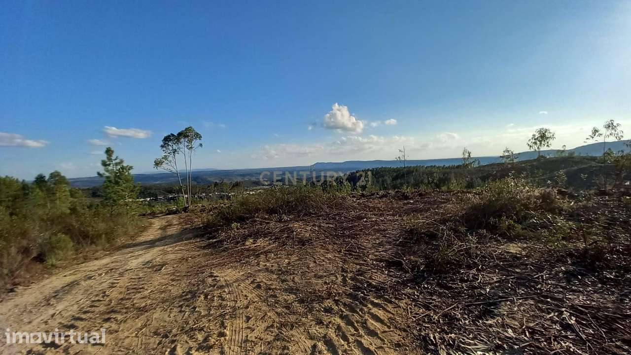 Terreno Rustico Monte Gordo Sarzedas - Grande imagem: 2/5