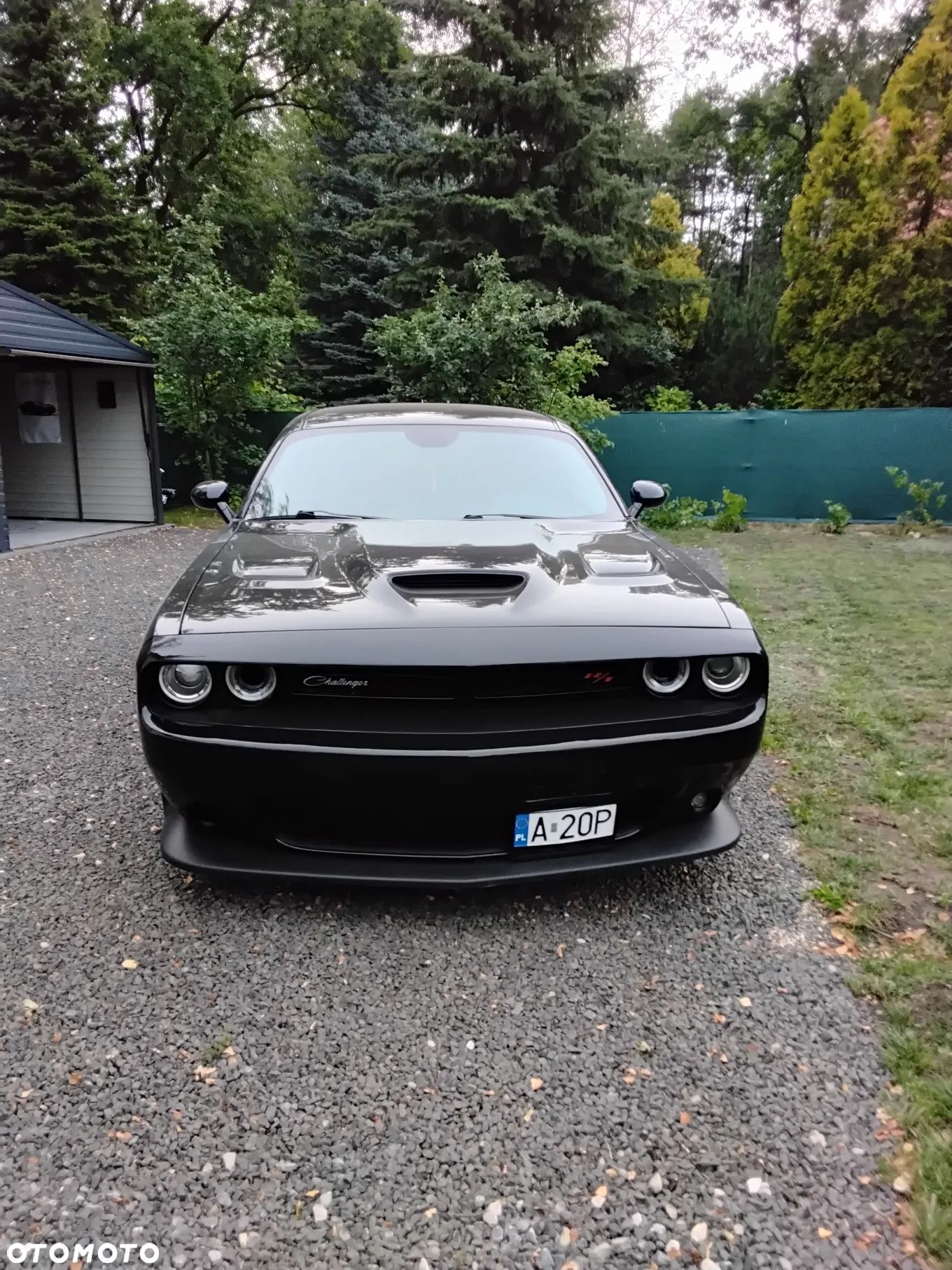 Dodge Challenger 6.4 Scat Pack - 1