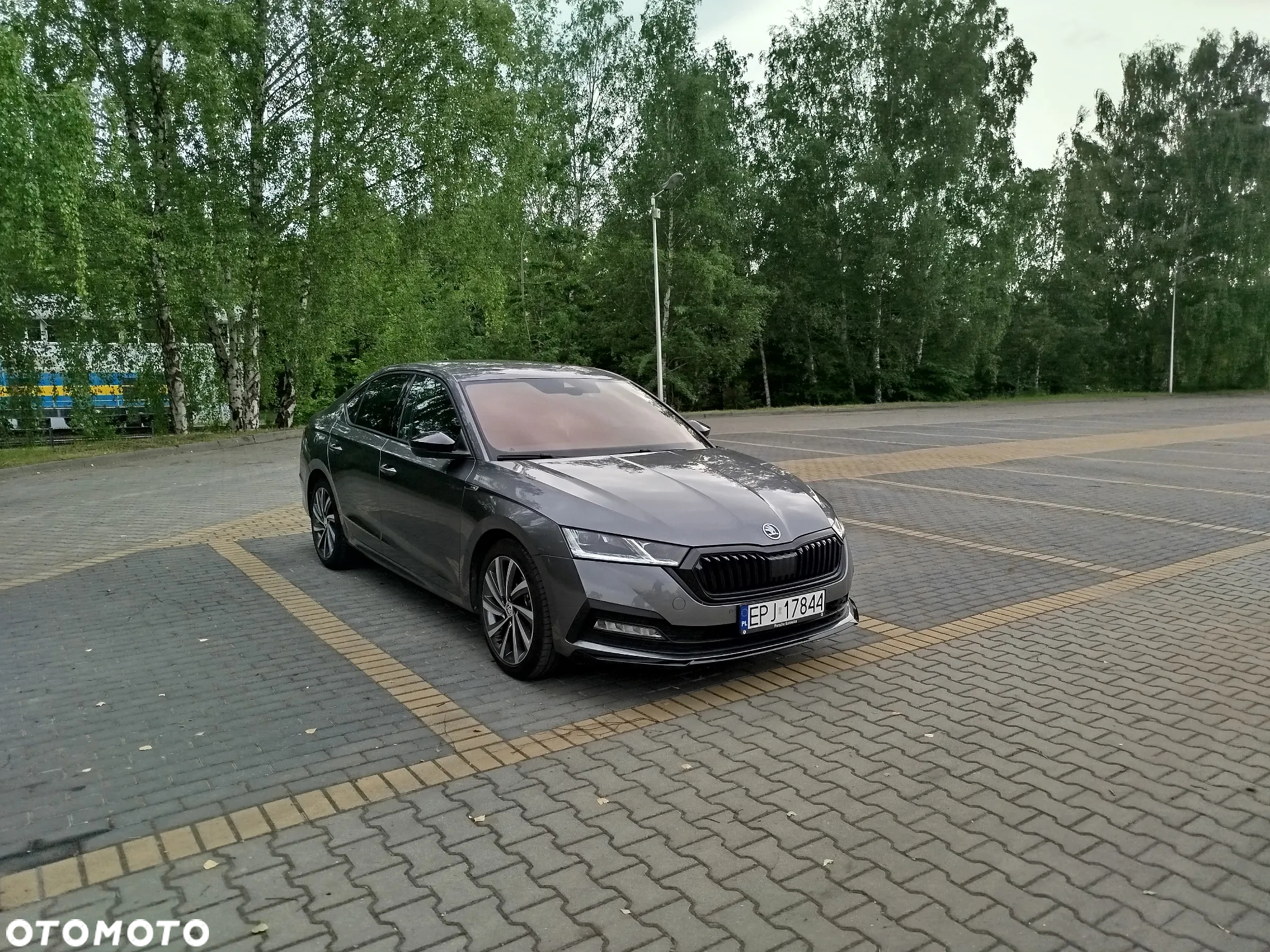 Skoda Octavia 1.5 TSI Sportline - 14