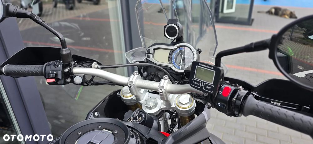 Triumph Tiger - 16