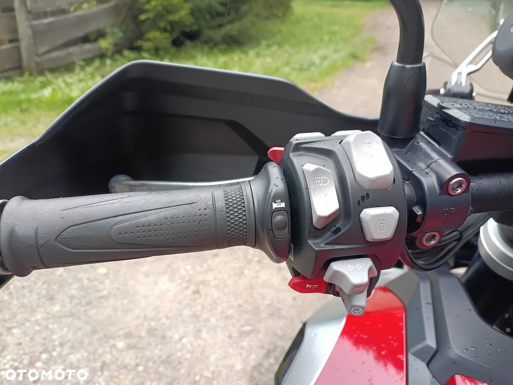 Triumph Tiger - 14