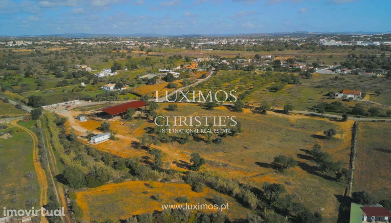 Amplo Terreno rústico para venda em Albufeira, Algarve - Grande imagem: 3/9