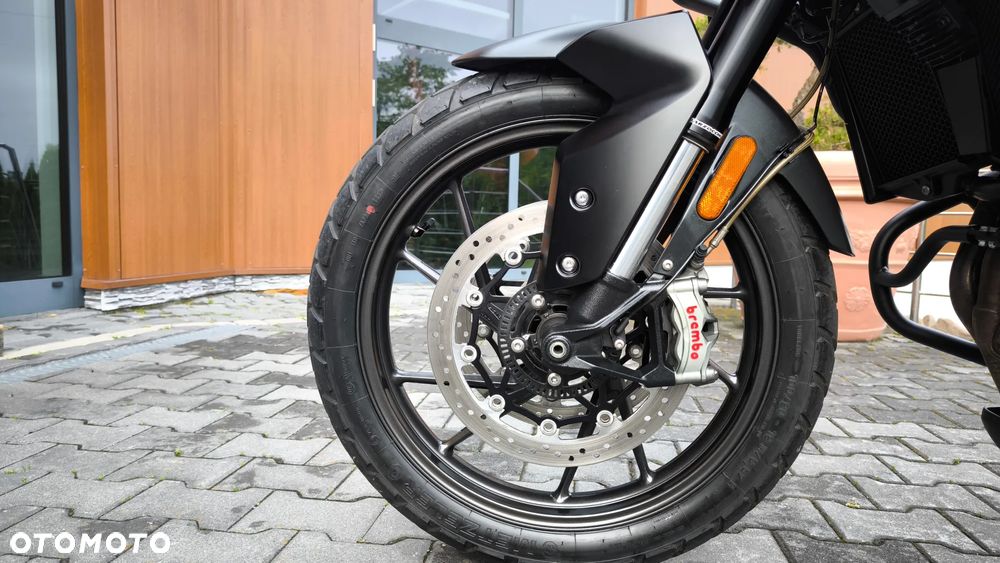 Triumph Tiger - 31