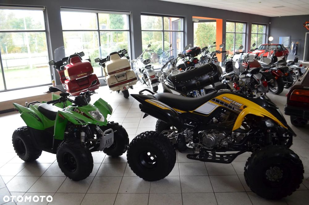 Arctic Cat Inny - 33