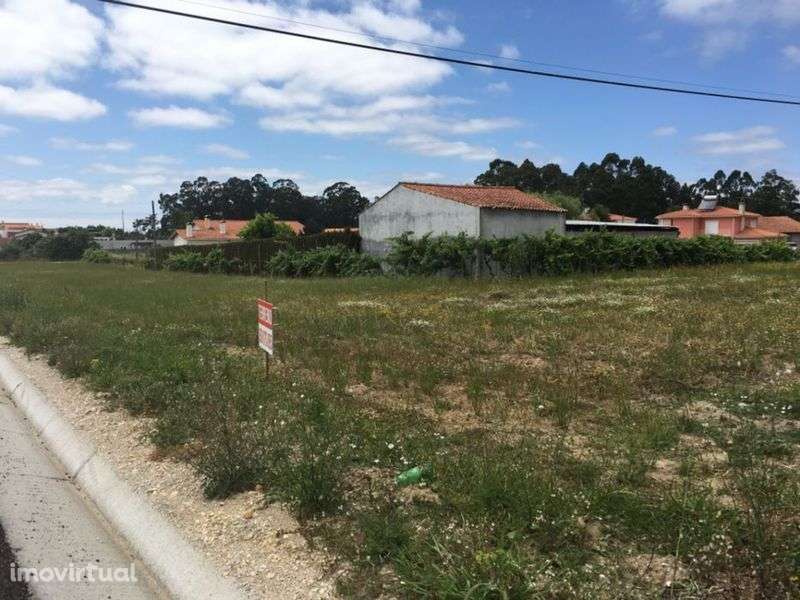 Terreno- Seixo- Gatões - Grande imagem: 5/5