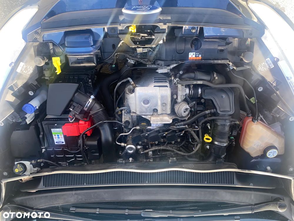 Ford B-MAX 1.0 EcoBoost Trend EU6 - 22