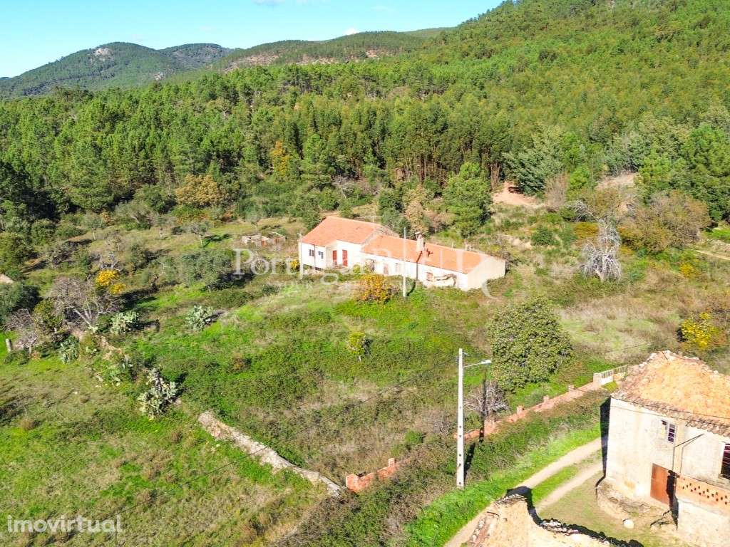 Quintinha de 20 hectares - Grande imagem: 3/60