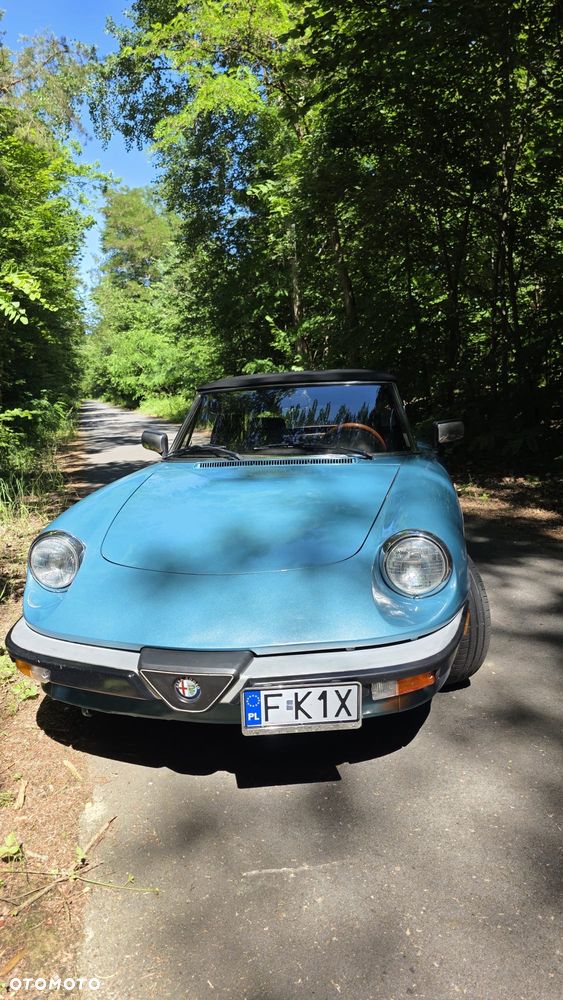 Alfa Romeo Spider - 7