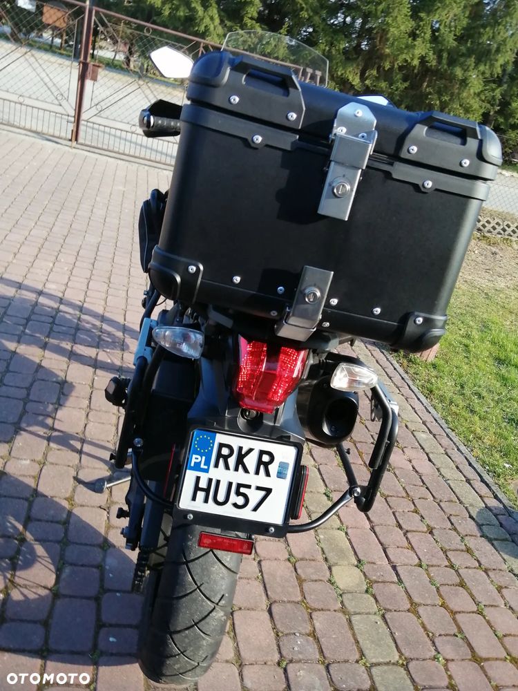 Triumph Tiger - 5