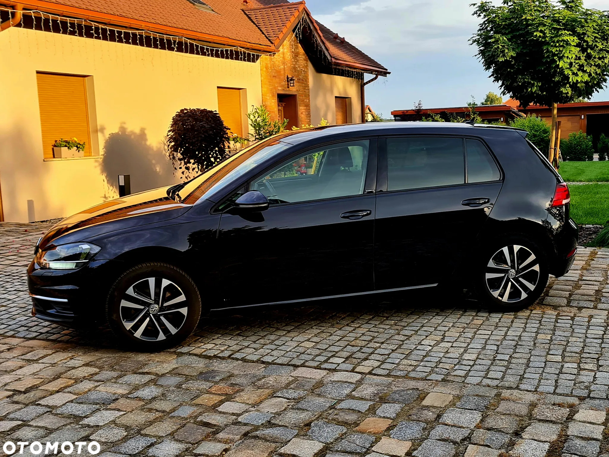 Volkswagen Golf VII 1.5 TSI BMT Evo IQ Drive - 23