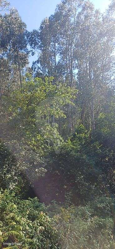 Terreno  para venda - Grande imagem: 3/6
