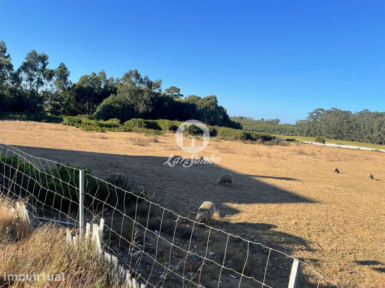 Terreno Agrícola com 24.404 m² em Árvore, Vila do Conde - Grande imagem: 5/16