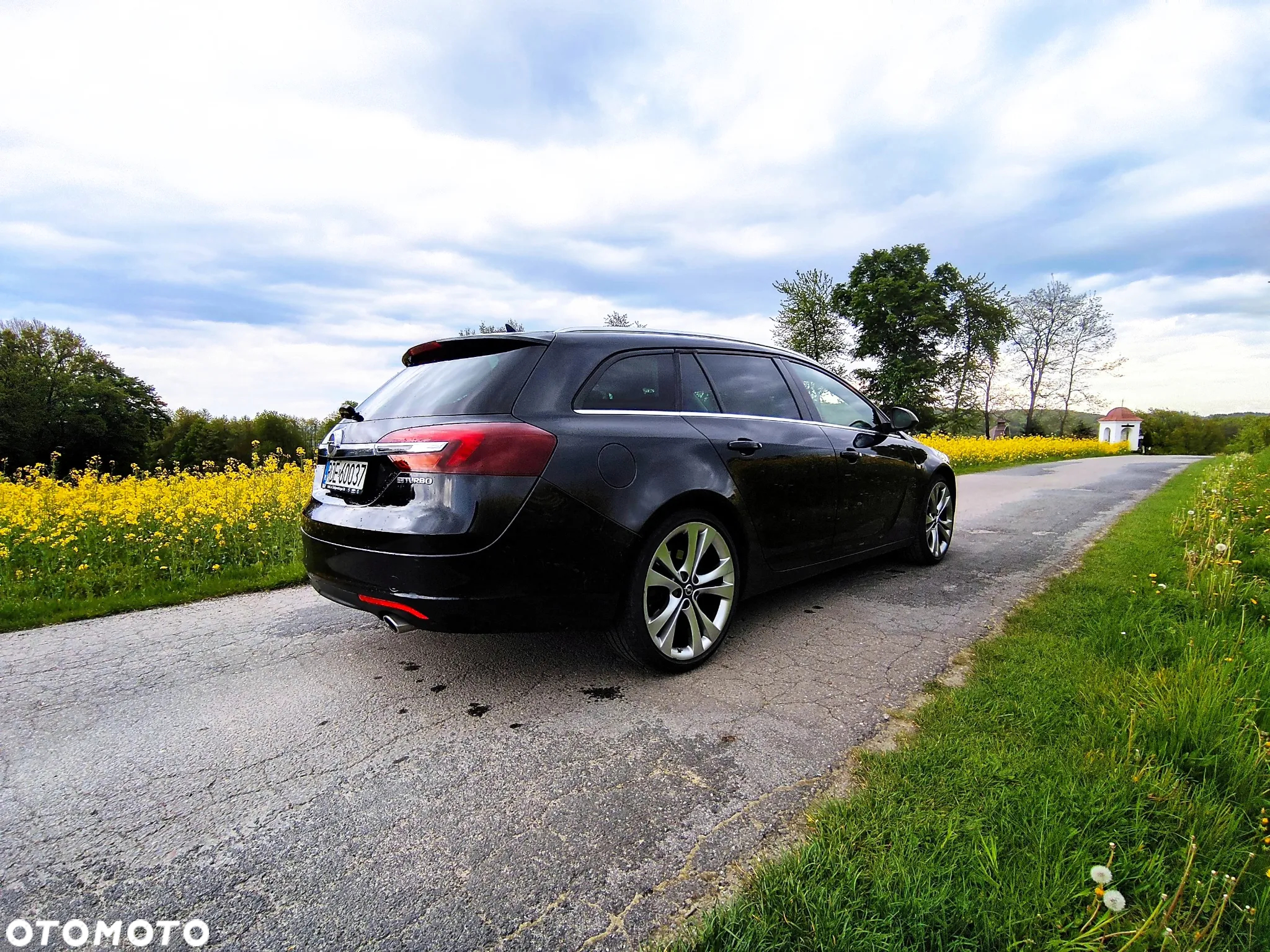 Opel Insignia 2.0 CDTI Sport S&S - 22