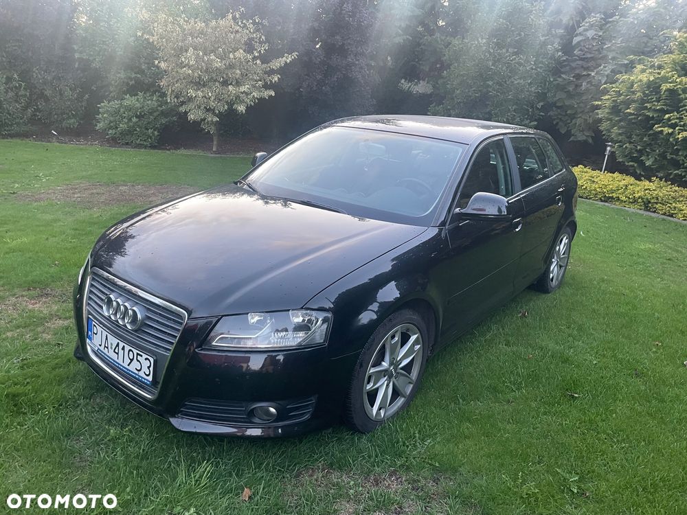 Audi A3 1.6 TDI DPF Attraction - 2