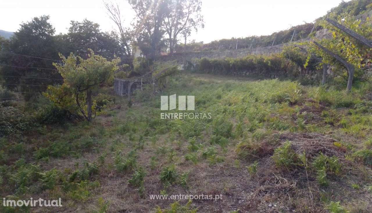 Venda Terreno com viabilidade de construção, Ancede, Baião - Grande imagem: 5/30