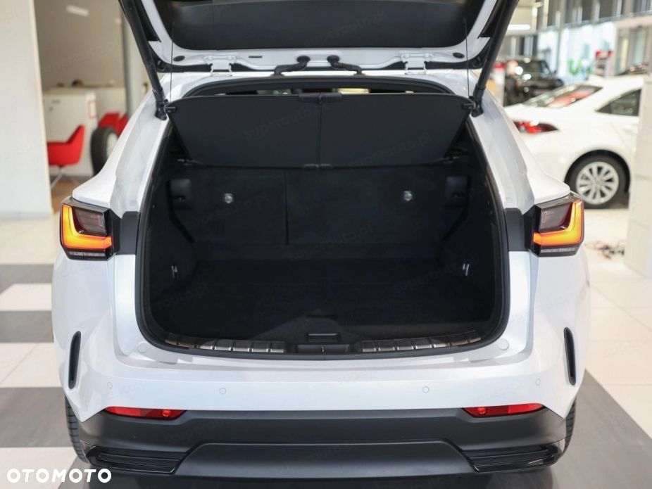 Lexus NX - 6