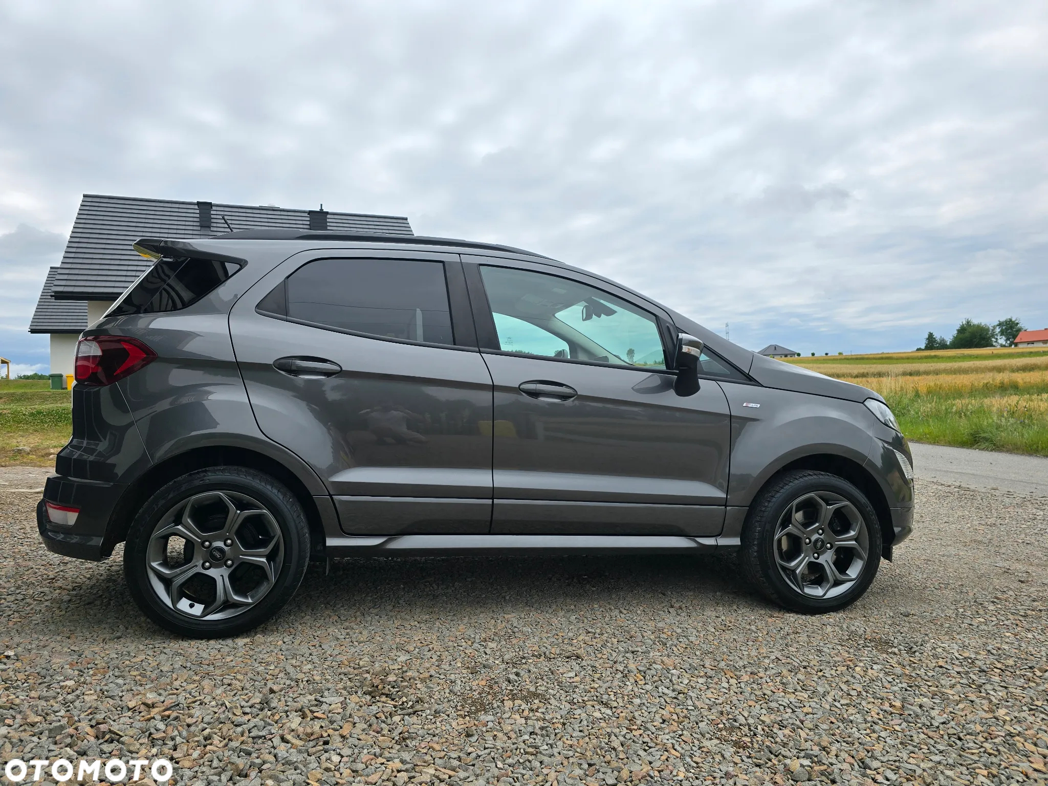 Ford EcoSport 1.0 EcoBoost GPF ST-Line ASS - 17