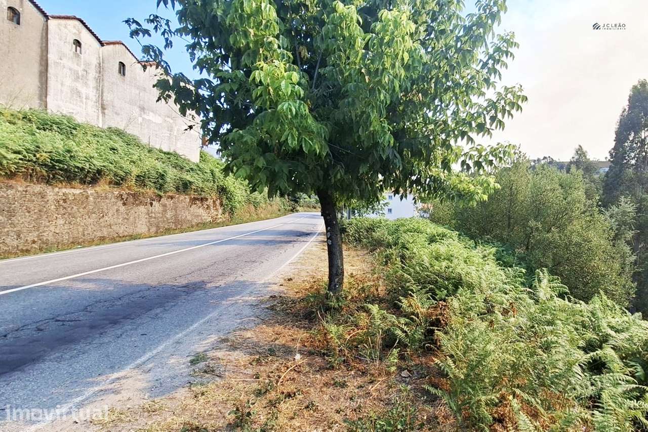 Terreno Rústico  Venda em Lustosa e Barrosas (Santo Estêvão),Lousada - Grande imagem: 2/14