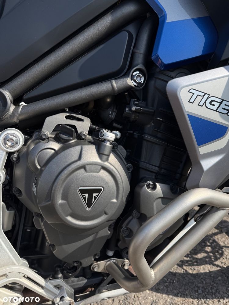 Triumph Tiger - 13