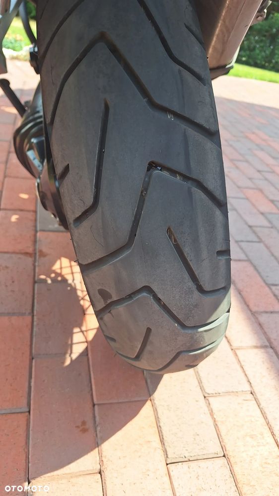 Triumph Tiger - 18