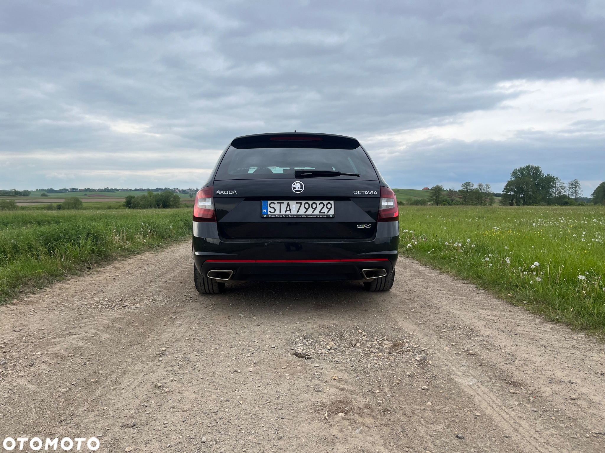Skoda Octavia 2.0 TSI RS 245 DSG - 4