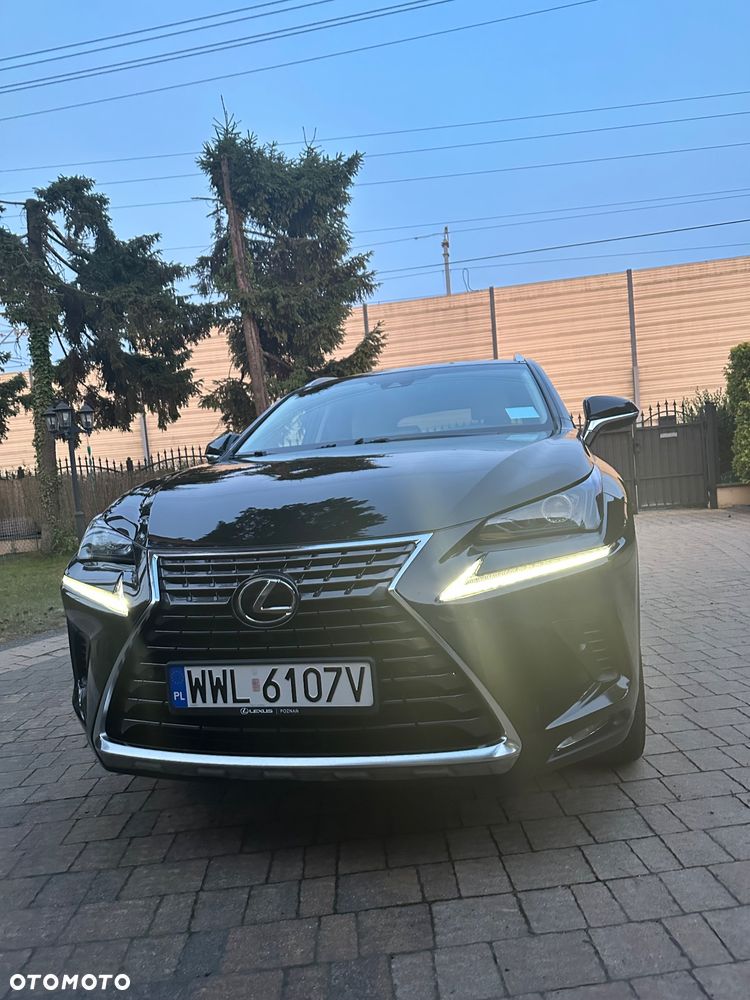 Lexus NX 300 Comfort AWD - 22