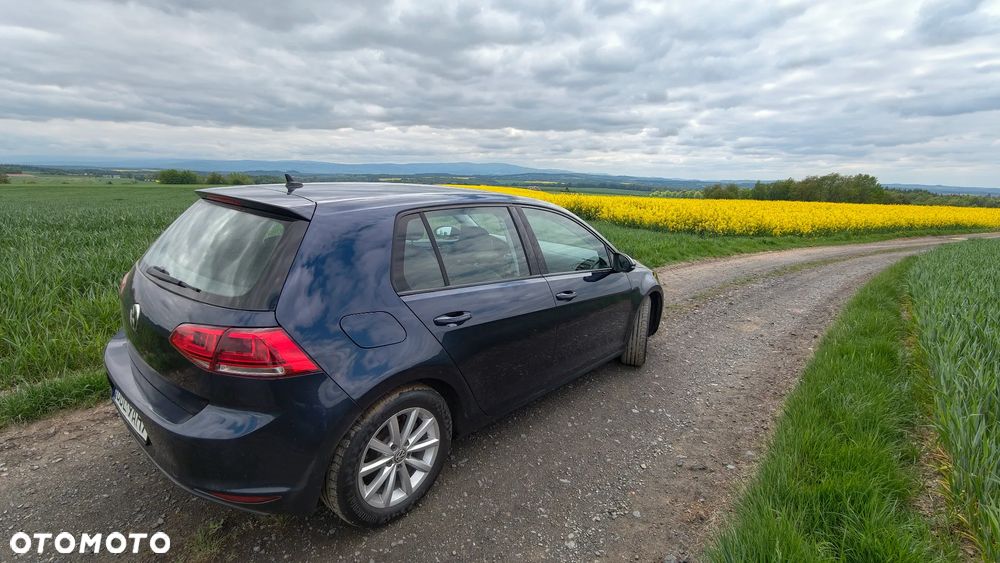 Volkswagen Golf 1.6 TDI Highline DSG - 6