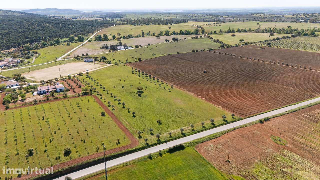 Terreno no concelho de Reguengos de Monsaraz com Projeto de arquitetur - Grande imagem: 5/11